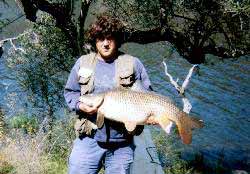 Carpa de 13 Kg