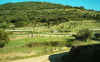 Juancruz11.jpg (266338 bytes)