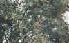 Flora0202.jpg (125382 bytes)