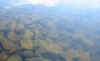 Imagen 018.jpg (52168 bytes)