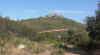 F090801.jpg (432751 bytes)