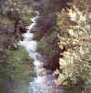 Imagen11.jpg (60566 bytes)