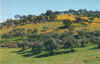 Imagen16.jpg (66065 bytes)