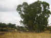 Imagen50.jpg (103344 bytes)