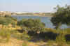 Imagen57.jpg (89760 bytes)