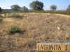 Lagunita1.jpg (173988 bytes)
